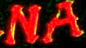 Adriana Kelly's Toilet Facial Tease