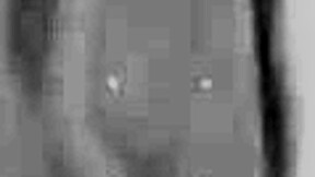 want to see chupando muitas bucetas e muito sexo oral?