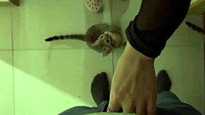 Is the skinny teen cousin discovered with big tits?