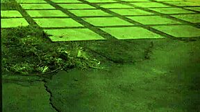 Why settle for solo when you can dominate?