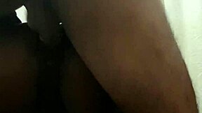 Xxxmetendo A Rola Na Novinha De Quatroxxx