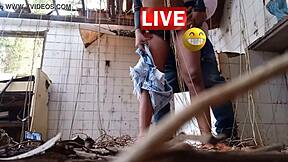 Can my cousin do anything wild with me in the mansion?