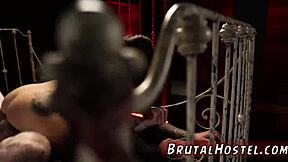 hey, felicity feline, ready for some wild sock domination with excited 18+ tourists?