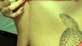 morena handles five cocks and one massive black dick