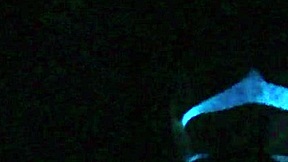 Scarlett Johnson enjoys some blacklight sex in this main scene