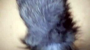 i'm so horny for that anal fucking in doggystyle, my pussy is wet and tits bouncing, oh god it's so good...