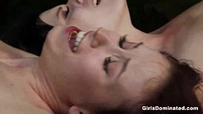 Foursome With Two Sluts Is Going Wild