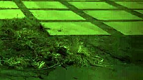 Teen Girl Bound And Fucked By Machine