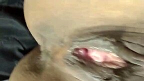 Felp9 And Niara Pessanha Enjoy Big Cock Action