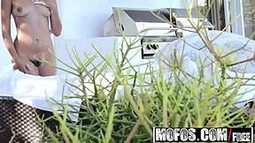 I'm Sophia Leone, a natural hottie with trimmed pussy.