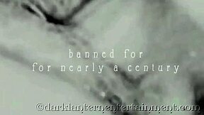 Dark Lantern shares a stiff prick tale from Victorian erotic confessions of a gentleman.