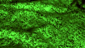 Redhot Fox Rides Cowgirl With Big Tits!