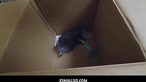 Yo, Ashley Adams takes stepbro deep in her ass! 🍑