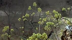 during safari, angel emily bends over for outdoor anal sex, riding and blowjob with small tits bouncing