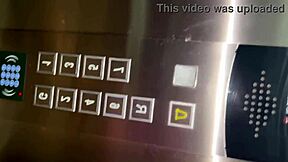 I felt so excited meeting that stranger in the elevator, her big tits shaking as she gave me a blowjob and cum on ass