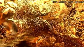 Natasha, wanna play with my tight teen ass?