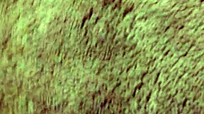 i'm a fat lesbian gettin fingered n cummin hard