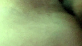 my cheating wife sent this video to whatsapp being blacked by a big black cock boy