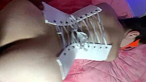 Chanel Preston and Megan Rain in old-young 3some blowjob with big tits