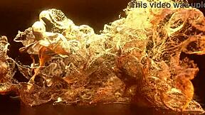 New Teen Abby Evans Experiences First Anal With Big Black Cock By Lancelot