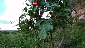 Wow! This Latina Novinha Handles That Cock Like a Pro!