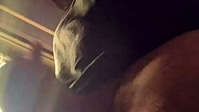 Shower of cocks in steamy homemade action. What’s your wildest fantasy with Bad Wolf28?