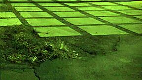 Stranded Teen Feels Intense Pleasure During Outdoor Rough Fuck