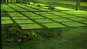 Stranded Teen Feels Intense Pleasure During Outdoor Rough Fuck