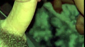 What Happens When Two Get Wild After Aunt Leaves?