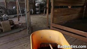 In the ranch, large boobs whores lick asses.