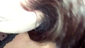 i love feeling that perfect dick in my pussy