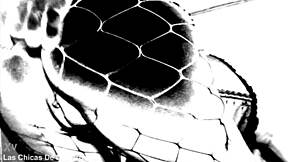 我和Susy Blue的第一次BDSM惩罚