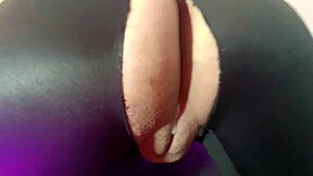 compilation of fucks with my latina colombiana stepmom whore with giant cameltoe usa bhabhi desi sex xxx usa american united states 2