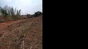 small latina teen feels intense pleasure in sugarcane field fucking