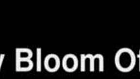 homemade dildo play turns wild with anal and vaginal fisting action