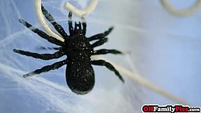 Hailey Rose dressed as a kinky stepsister for halloween fun