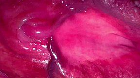 I lick my wife's hairless pussy, wet and ready after 215 days of marriage.