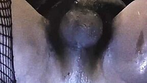 Ebony emo slut tavaius deshawn young 18+ chris brown biggest fan 😈