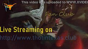 thot in texas gets pussy fucked with toothbrush vibrator