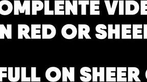 Lover Declares To Ebony At Hotel!