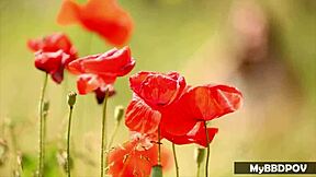 I watch Lexi Dona make Jenny Appach orgasm with anal fingering