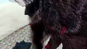 bhabhi moans in secret anal fuck with step brother-in-law