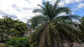 Stepsister's White Booty Squeezed After Long Time Apart Changed Into Lingerie For Nerdy Roleplay Fuck - Jhodez1?