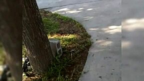 Nalgona y tetona big tits teen in sensual sexy action