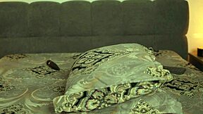 brunette bombshell ayya strips down for a horny solo masturbation show. she fingers her shaved pussy until orgasm hits hard.