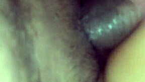 Why don't you shove that whole BBC deep in my ass for creampie?