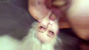 i love how petite teen devils joy takes first wet dap in 5on1 gangbang with balls deep anal atm dp pee and messy cumshot