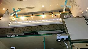 oh wow, check out this super cute stepdaughter's upskirt on hidden cam at work