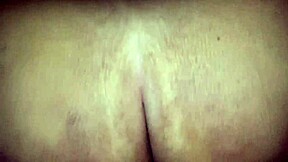 Petite vs bbw vs ssbbw who won⁉️