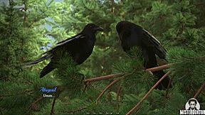 dreamland features hot brunette babe in naughty lingerie 😍✨